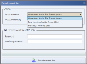 Steganography: Hiding Secret Files using openstego