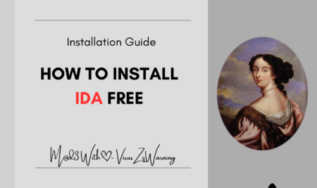 How to install IDA Free – Installation guide